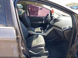 Ford C-Max Hybrid Sel 1FADP5BU4DL545963 снимка