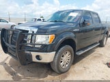 Ford F-150 Fx4/Harley-Davidson/King Ranch/Lariat/Platinum/Xl/Xlt 1FTFW1EV8AFA75370 fotografie