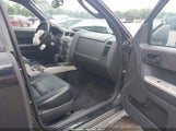 Ford Escape Xlt 1FMCU0D74AKB79329 fotografie