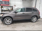 Honda Cr-V Ex 5J6RE4H56AL093648 снимка