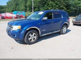 Ford Escape Xlt 1FMCU93118KB84466 снимка