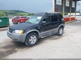 Ford Escape Xlt 1FMYU04132KB76358 снимка