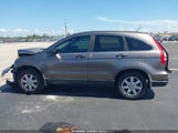 Honda Cr-V Se 5J6RE3H47BL010859 снимка