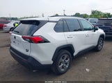 Toyota Rav4 Xle 2T3P1RFV1RC405300 снимка