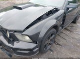 Ford Mustang Gt Deluxe/Gt Premium 1ZVHT82H085205857 fotografie