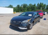 Hyundai Sonata Sport 2.0T 5NPE34AB3HH545001 photo