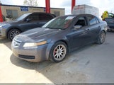 Acura Tl 19UUA66255A069084 снимка