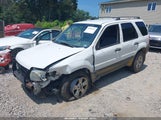 Ford Escape Xlt 1FMYU93195KB75502 снимка