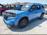 Honda Pilot Trailsport 5FNYG1H62SB096098 photo