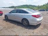 Hyundai Sonata 5NPE24AF5HH502897 снимка