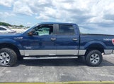 Ford F-150 Xlt 1FTFW1ET1EFC05784 снимка