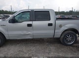 Ford F-150 60Th Anniversary/Fx2/King Ranch/Lariat/Xlt 1FTPW12V48KC85040 photo
