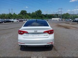 HYUNDAI SONATA SPORT 2.0T 5NPE34AB4FH045037 photo