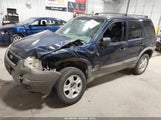 Ford Escape Xlt 1FMYU04172KC38487 снимка