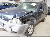 Ford Escape Xlt 1FMYU04172KC38487 снимка