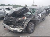 Honda Insight Touring 19XZE4F99KE006542 снимка