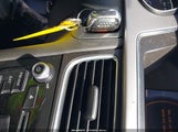 Audi A4 2.0T Premium WAUFFAFL4DN031547 снимка
