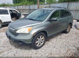 Honda Cr-V Ex JHLRE48547C028458 снимка