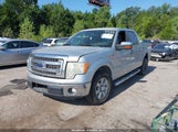 Ford F-150 Xlt 1FTFW1CF5DKD79988 снимка
