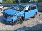 Honda Passport Awd Trailsport 5FNYF8H64SB002010 fotografie