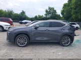 Lexus Nx 350 Premium JTJGGCEZ5N2002922 photo