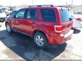 Ford Escape Xlt 1FMCU9DG8AKA87628 снимка