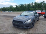 Nissan Maxima 3.5 Sv 1N4AA5AP3AC860572 снимка