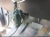 Miniaturka zdjęcia 11