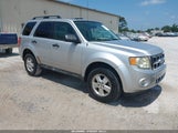 Ford Escape Xlt 1FMCU0DG7BKB79861 fotografie