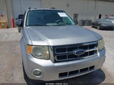 Ford Escape Xlt 1FMCU0DG7BKB79861 fotografie