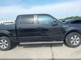 Ford F-150 Fx2 Sport/Xl/Xlt 1FTEW1C82AKC01643 снимка