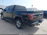 Ford F-150 Fx2 Sport/Xl/Xlt 1FTEW1C82AKC01643 fotografie