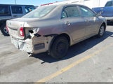 Toyota Corolla Le 2T1BU4EE2AC520863 снимка