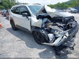 Subaru Forester Wilderness JF2SKAMCXNH521007 снимка