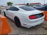 Ford Mustang Ecoboost 1FA6P8TH6H5282297 снимка