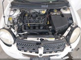 Dodge Neon Sxt 1B3ES56CX5D143649 photo
