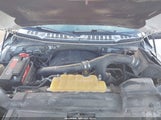 Ford F-150 Platinum 1FTEW1EG5FFC14276 снимка