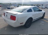 Ford Mustang V6/V6 Premium 1ZVHT80N795105796 photo