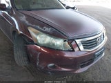 Honda Accord 3.5 Ex-L 5KBCP3F80AB011172 снимка