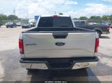 Ford F-150 Xlt 1FTFW1EF4HFB36247 снимка