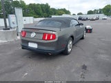 Ford Mustang V6 1ZVBP8EM8B5161584 снимка