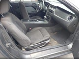 Ford Mustang V6 1ZVBP8EM8B5161584 снимка