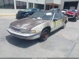 CHEVROLET LUMINA EURO 2G1WN14T1L9159604 fotografie