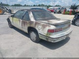 CHEVROLET LUMINA EURO 2G1WN14T1L9159604 fotografie
