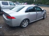 Acura Tsx JH4CL96824C031386 снимка