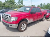 Ford F150 Supercrew 1FTFW1EV8AFD44953 снимка