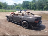 Ford Mustang Gt 1FAFP42X0XF107621 снимка