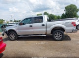 Ford F-150 Xlt 1FTFW1ET0BFD06844 снимка