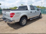 Ford F-150 Xlt 1FTFW1ET0BFD06844 снимка