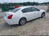 Nissan Maxima 3.5 Se 1N4BA41E57C854018 снимка